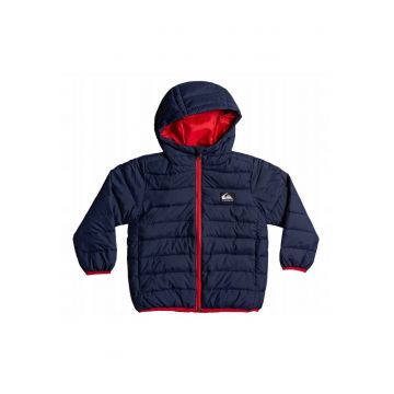 Jacheta matlasata Scaly -