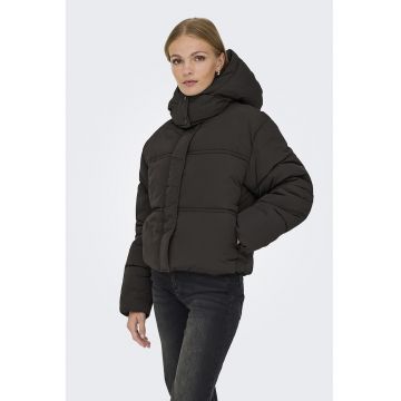 Geaca cu vatelina si guler inalt Geaca cu vatelina si guler inalt