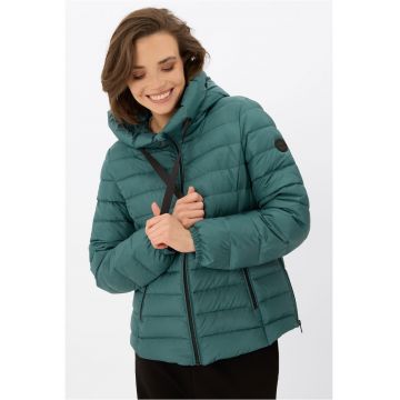 Jacheta matlasata  verde