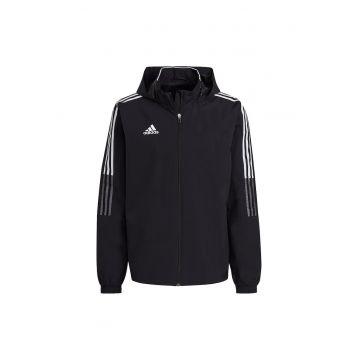 barbati -  Negru - 68465