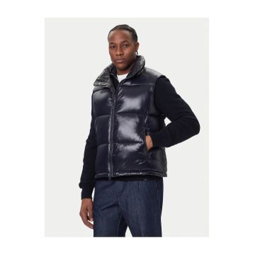 Vesta barbateasca  bleumarin