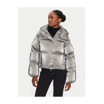 Geaca dama -  argintie -